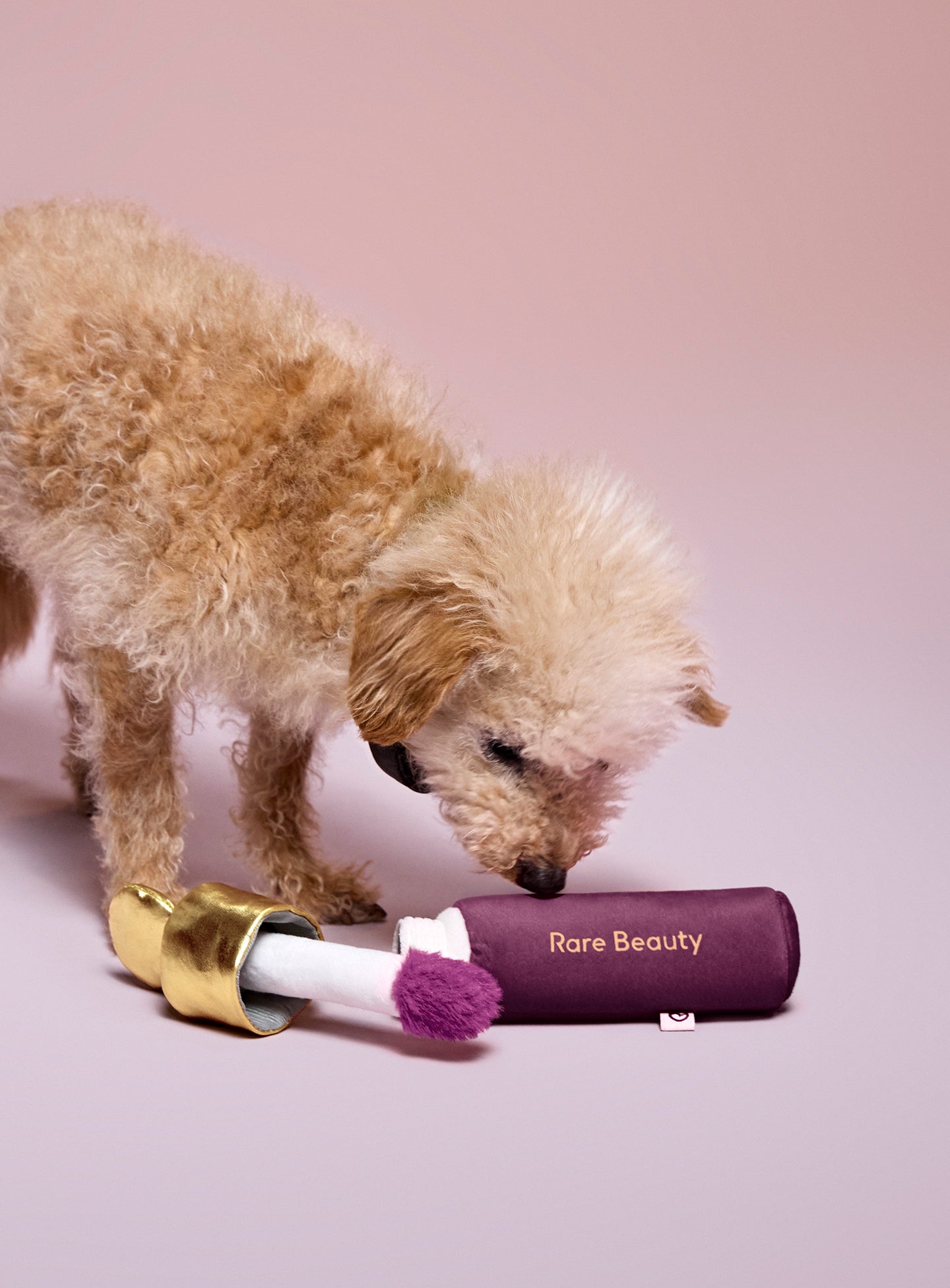 soft pooch blush dog toy faith soft pooch blush dog toy faith